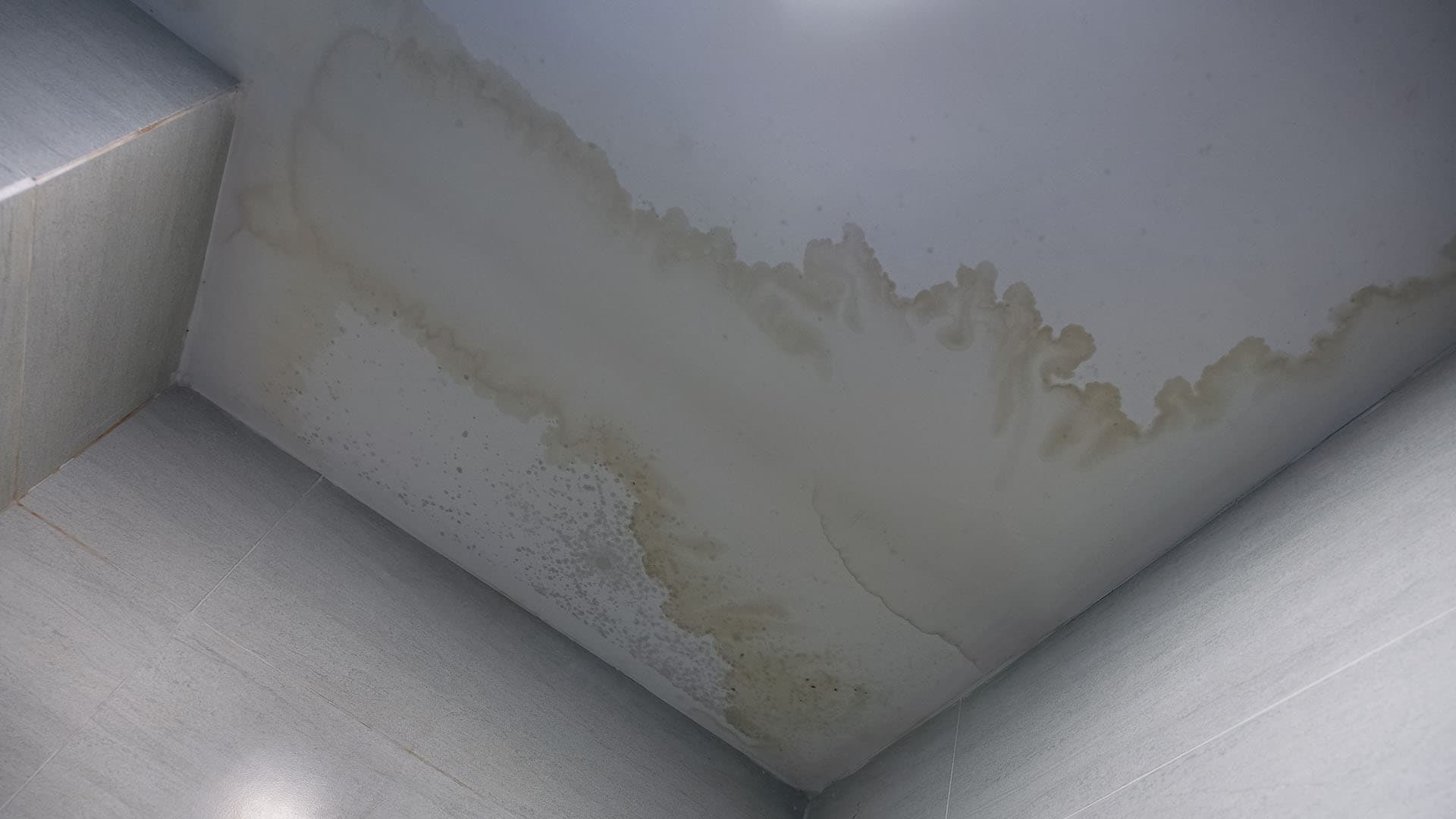 I Care Roofing investigating a roof leak in Sydney